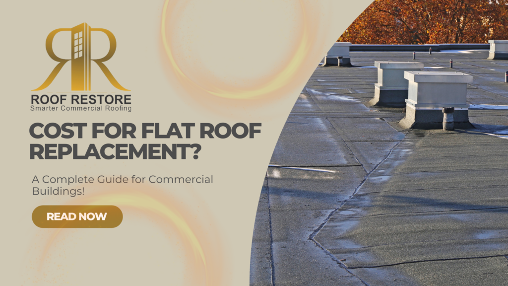 Cost For Flat Roof Replacement: A Guide for Businesses